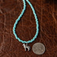 Turquoise Charm